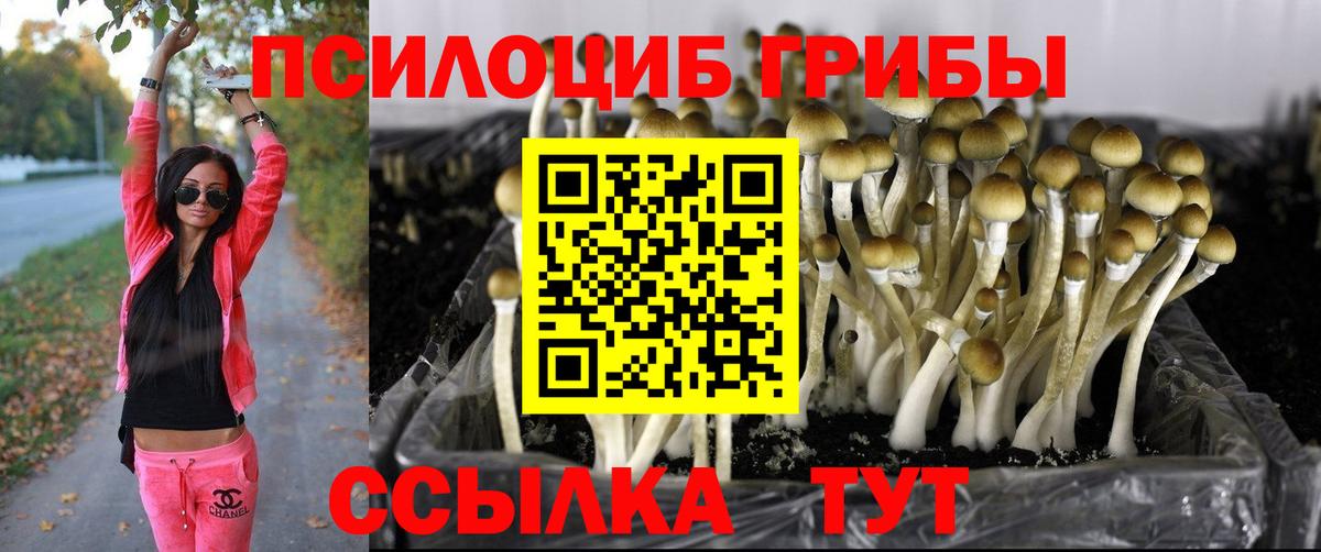 Галлюциногенные грибы мицелий  Вход с VPN  сколько стоит  Псилоцибиновые грибы прущие грибы  Сосновый Бор 