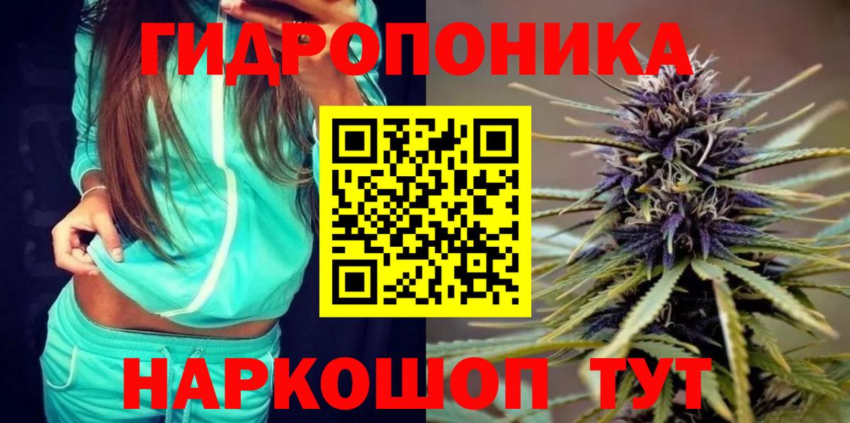 Бошки Шишки ГИДРОПОН  Канабис MAZAR  Сосновый Бор  Шишки марихуана LSD WEED  Вход с VPN  Каннабис сатива 