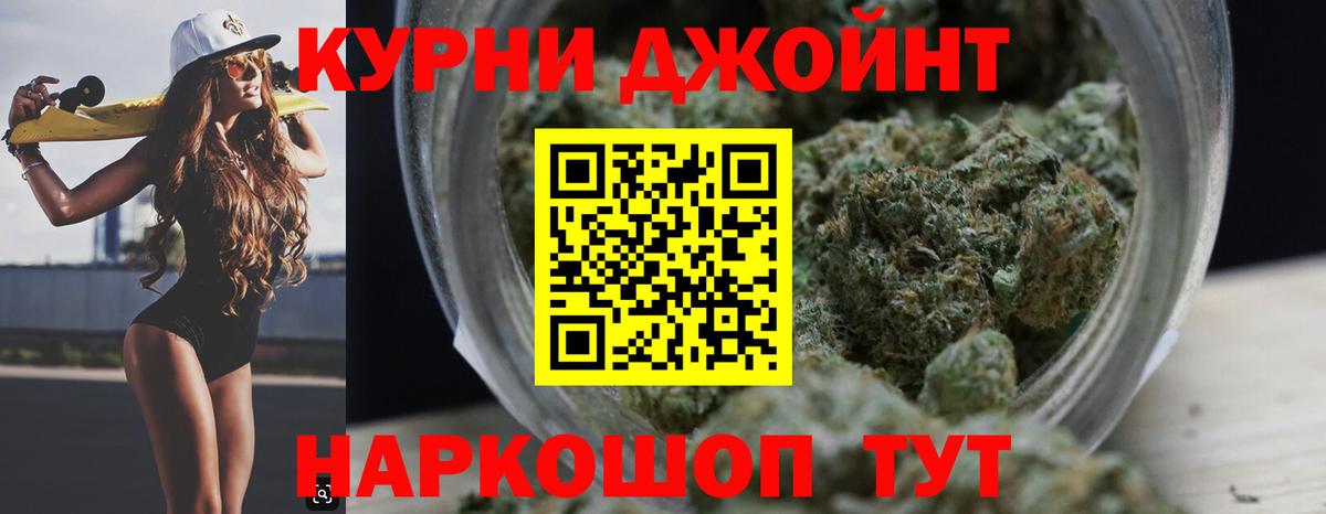 Каннабис конопля Сосновый Бор